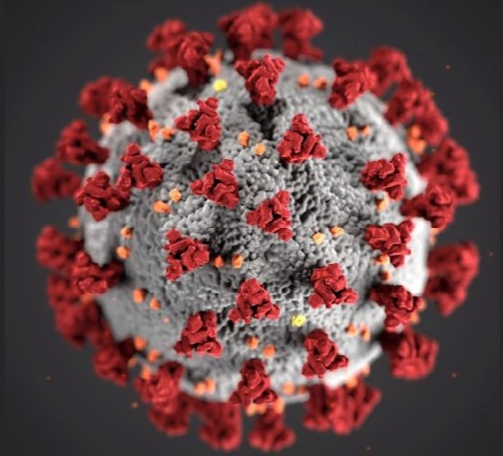 covid-19viruswikipedia19032020-928709_ed